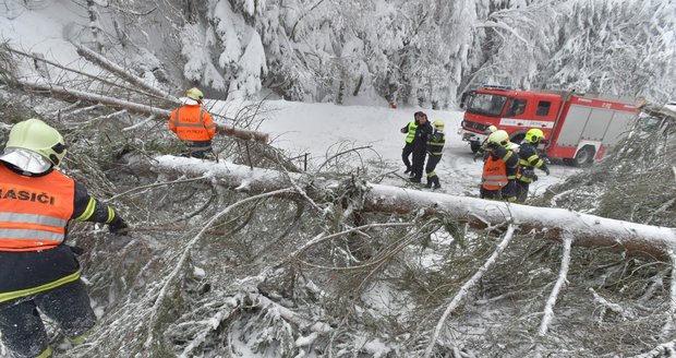 Tuny sněhu poničily vedení, ČEZ hlásí na severu škody za miliony. Lidé už mohou zase svítit 