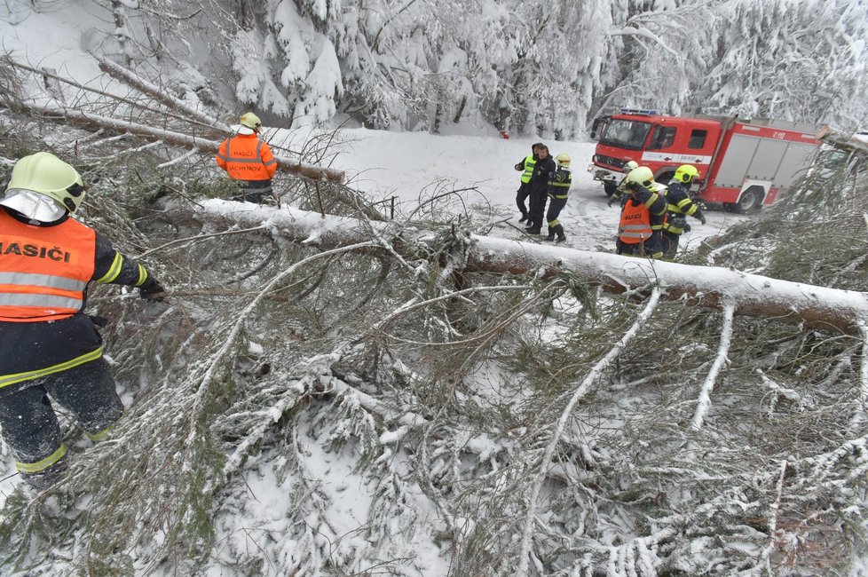 Kalamita v Česku: Sníh na Božím Daru (10. 1. 2019)