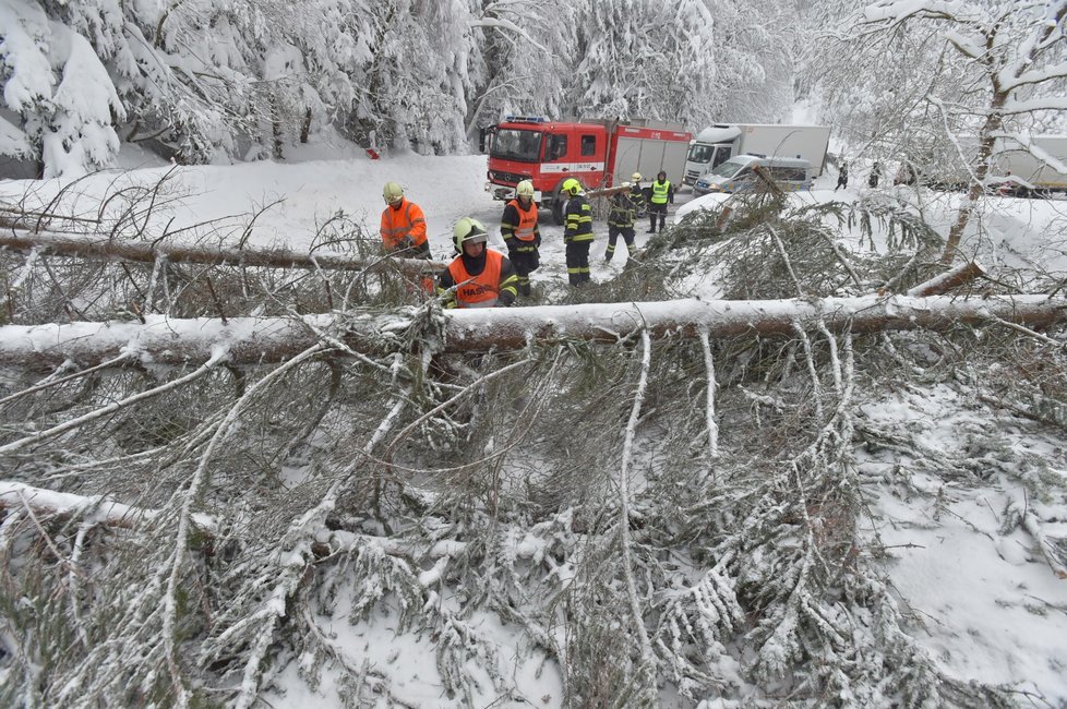 Kalamita v Česku: Sníh na Božím Daru (10. 1. 2019)