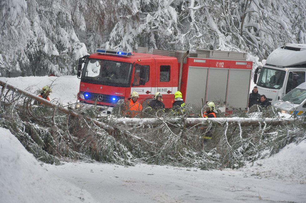 Kalamita v Česku: Sníh na Božím Daru (10. 1. 2019)