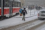 Brno zasypal v úterý 31. ledna 2017 sníh. Lidé, kteří museli cestovat, nechávali auta doma a hledali útočiště v tramvajích.