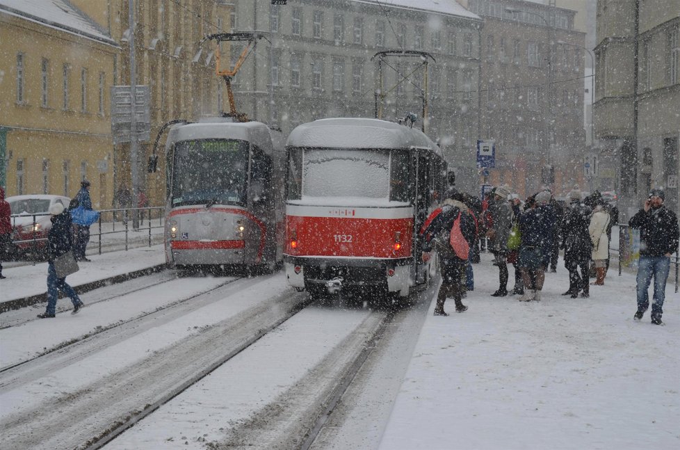 Brno zasypal v úterý 31. ledna 2017 sníh. Lidé, kteří museli cestovat, nechávali auta doma a hledali útočiště v tramvajích.