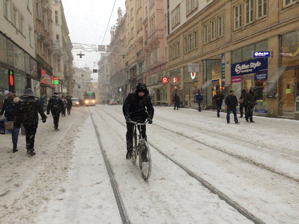 Tento Brňan se se sněhovou nadílkou vyrovnal po svém