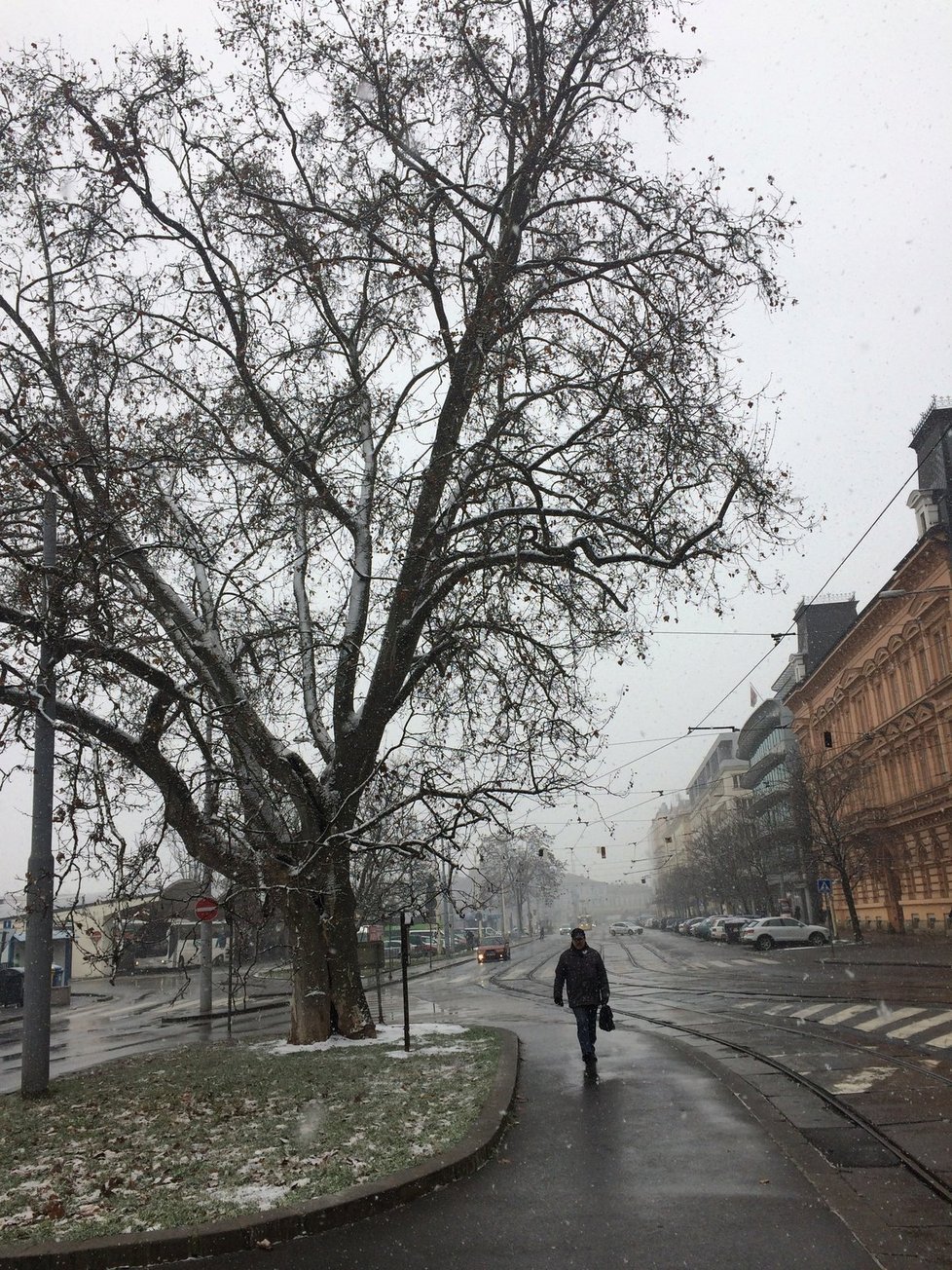 Centrum Brna ve středu dopoledne. Po poledni vyjela technika Brněnských komunikací především do výše položených částí města