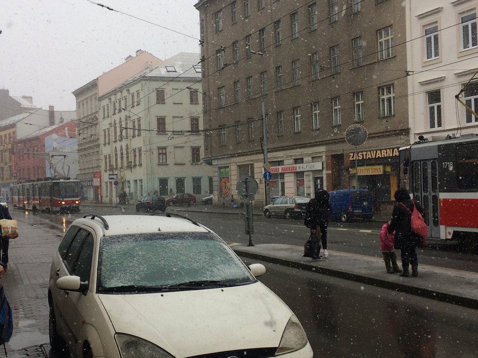 Centrum Brna ve středu dopoledne. Po poledni vyjela technika Brněnských komunikací především do výše položených částí města