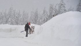 Kalamita v Česku: Většinu území překvapil silný nápor sněhu (10.1 2019)