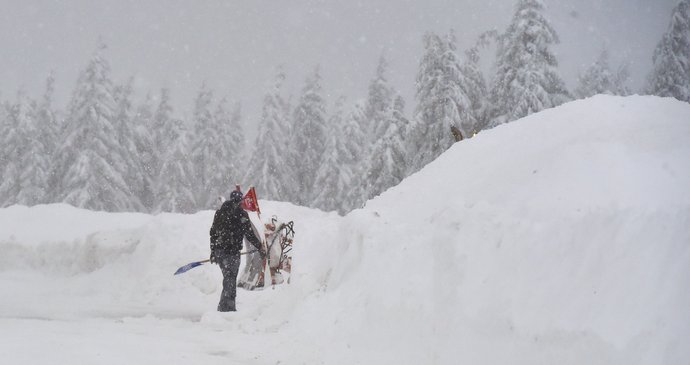 Kalamita v Česku: Většinu území překvapil silný nápor sněhu (10.1 2019)