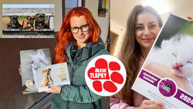 Charitativní tisky pro opuštěná zvířata právě vychází: Kalendáře pomáhají psům, kočkám i slepicím