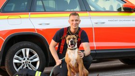 Tlapky na cestě z.s., tel. 725 974 247