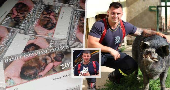 Členové HZS zapózovali s opuštěnými zvířaty v projektu Hasiči pomáhají útulkům