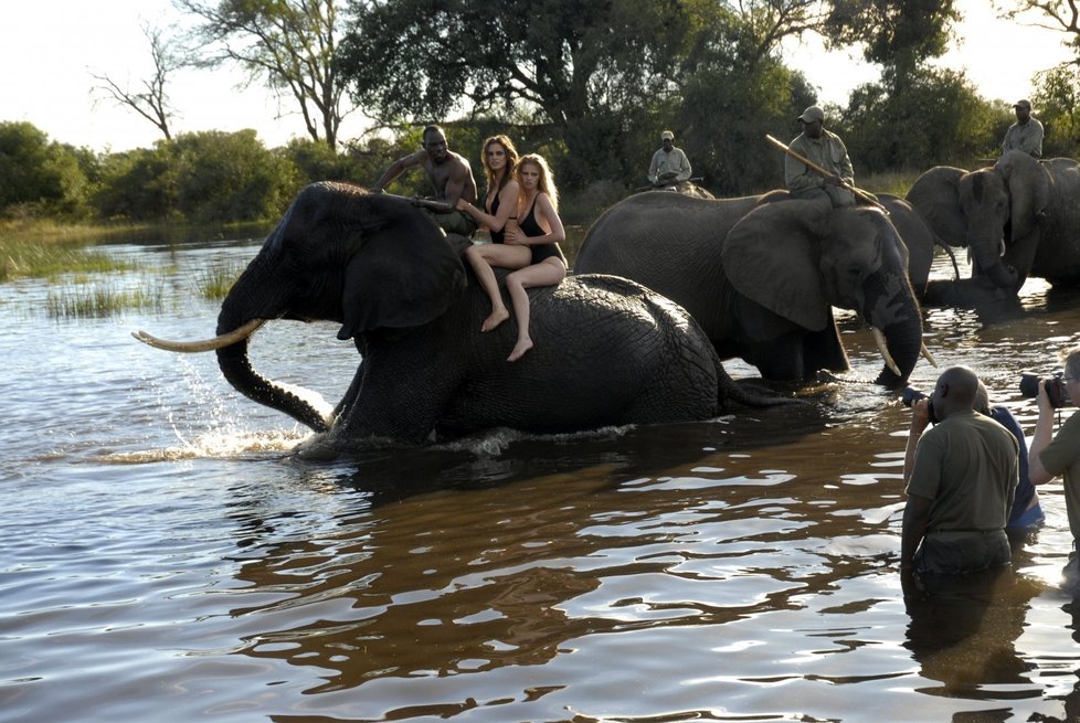 Africký slon může být až čtyři metry vysoký a váží 7,5 tuny. Modelka má ale pro strach uděláno.