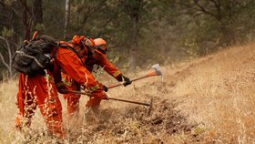 Skupina hasičů vykopává protipožární příkopy západně od Reddingu v Kalifornii.