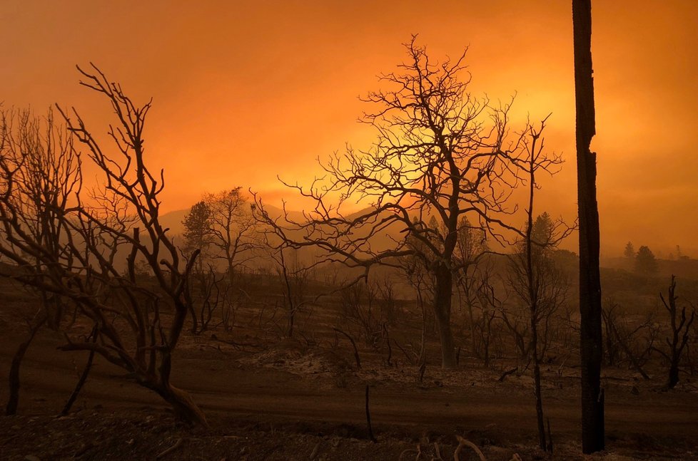 Obloha nad spáleništěm se kvůli kouři zbarvila do ruda. Na fotce Keswick, Kalifornie.
