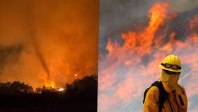 Kalifornii devastují rychle se šířící lesní požáry.