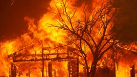 Kalifornii už zase sužují nebezpečné požáry: Zkáza, kam se člověk podívá (20. 8. 2020)
