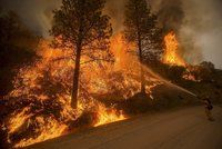 Ohnivé peklo v Kalifornii: Tisíce evakuovaných lidí a stovky zničených domů