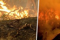 Ohnivé peklo v USA: Kalifornii pustoší obří požáry, tisíce lidí evakuovali