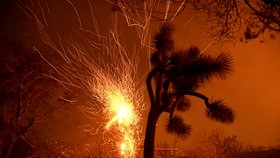 Lesní požáry v americké Kalifornii (září 2020)