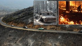 Čtyři týdny trvající požár spálil 1000 km čtverečních lesa