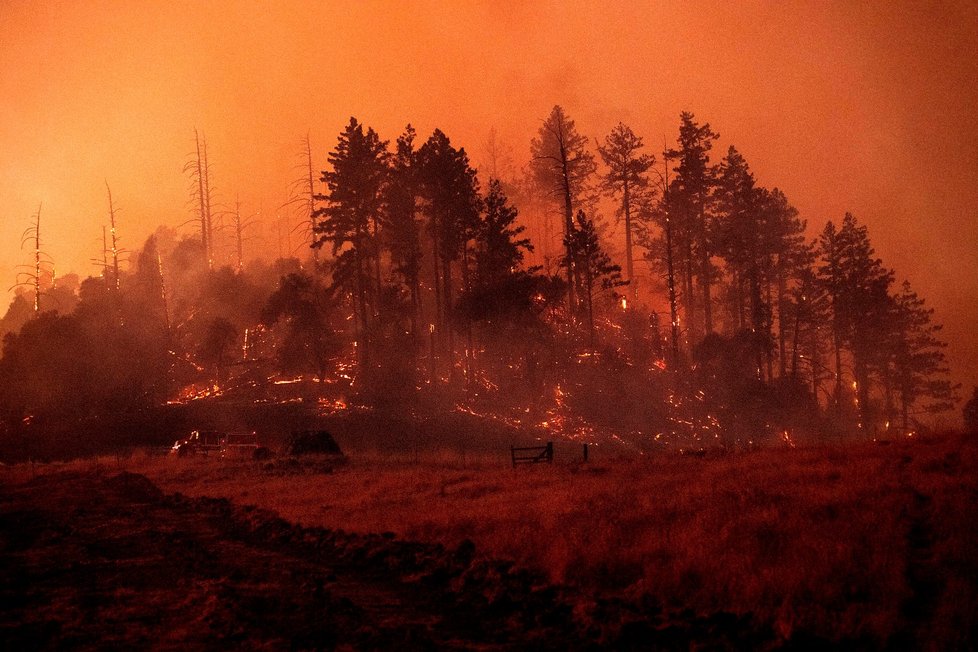 Kalifornii zasáhly masivní požáry. Své domovy muselo opustit 200 tisíc lidí. (26. 10. 2019)