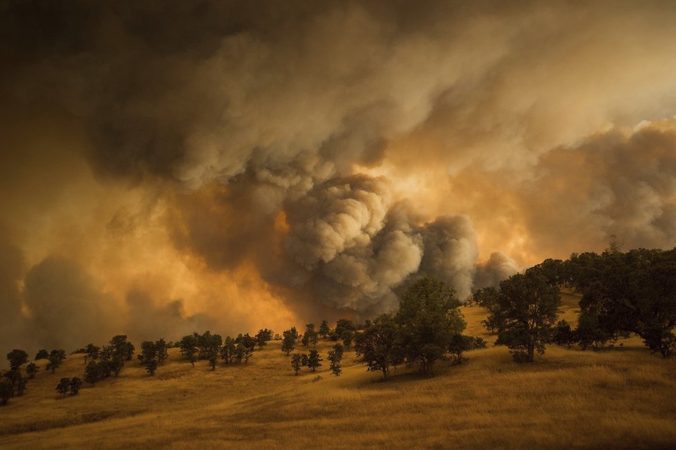 Kalifornii sužují desítky požárů. S ohněm bojují tisíce hasičů.