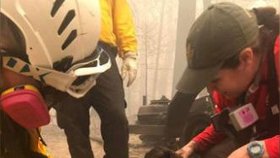 Záchranáři vytáhli z požárem zničeného domu v Kalifornii štěně.