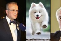 Miroslav Kalousek pro Blesk.cz: K*nda není kočička, je to bílý pejsek!