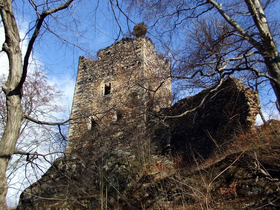 Ruina hradu Rýzmburku.