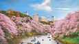 Tokio: Pod korunami rozkvetlých sakur