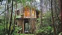 Fern Forest, Hawaii