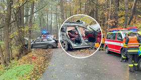 U Kamenného Přívozu narazilo do stromu Porsche. Zasahoval vrtulník.