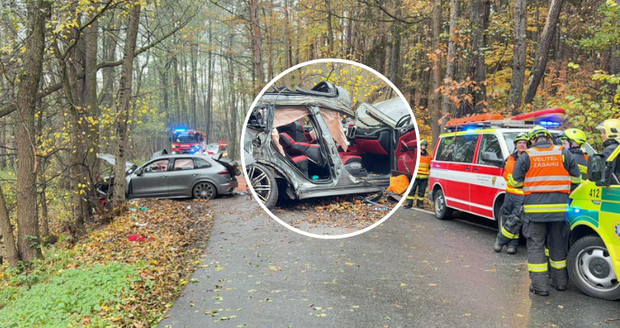 Vážná nehoda u Kamenného Přívozu: Porsche narazilo do stromu, zasahoval vrtulník