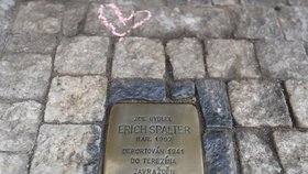 Zahraniční studenti v Praze čistili kameny zmizelých. Chtějí připomenout tragické osudy obětí holocaustu