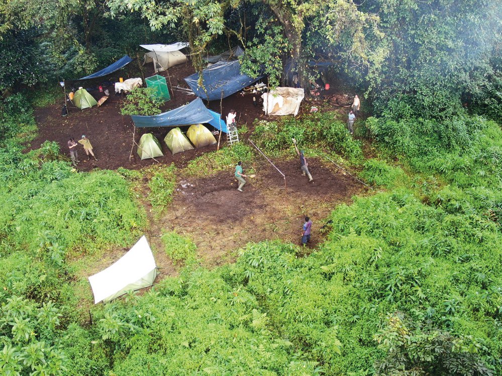 Vědci během expedic táboří i v džungli