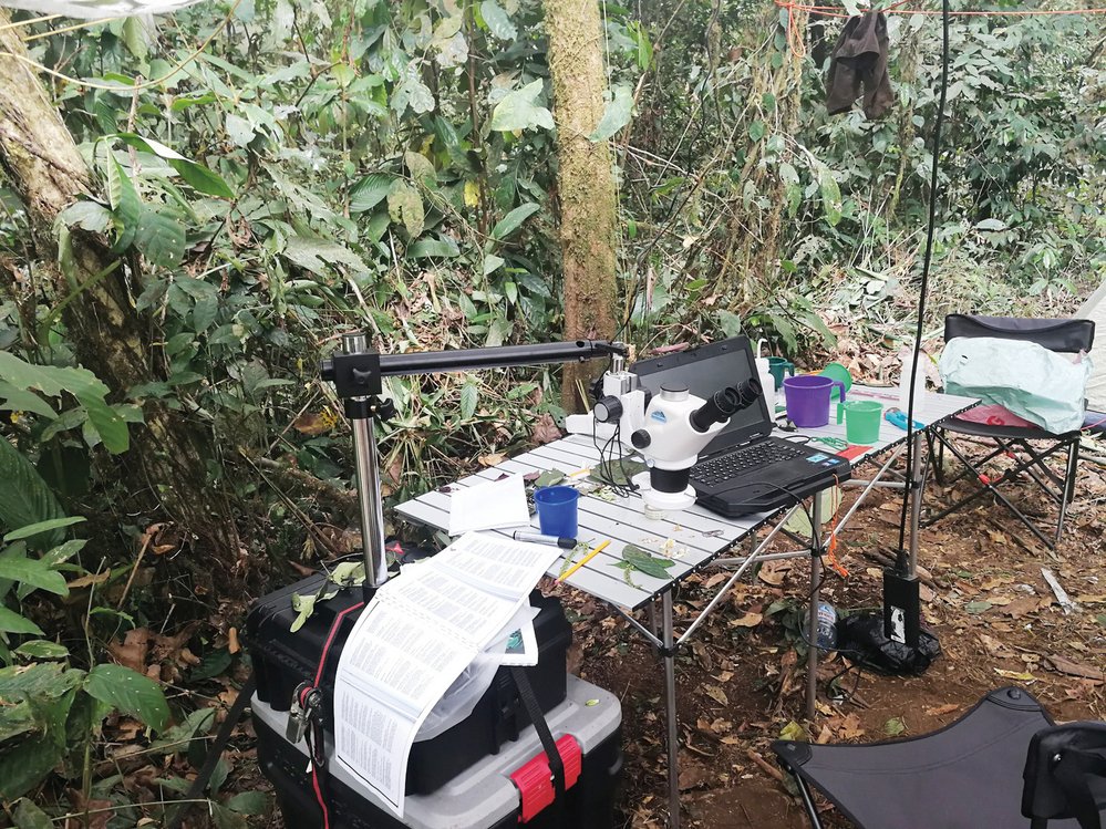 K průzkumu vzorků slouží improvizovaná pralesní laboratoř