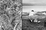 21. srpna 1986 došlo u kráterového jezera Nyos k záhadným úmrtím téměř 1800 lidí a 3500 kusů dobytka. Mohl za to oxid uhličitý unikající z jezera.