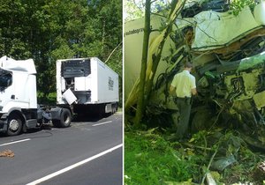 Nehodu kamionu nepřežila 37letá spolujezdkyně.