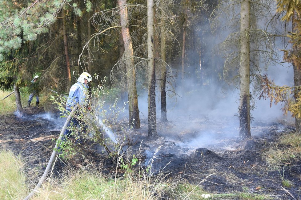 Požár lesa, který zapálily jiskry od kola kamionu, jemuž praskla pneumatika.