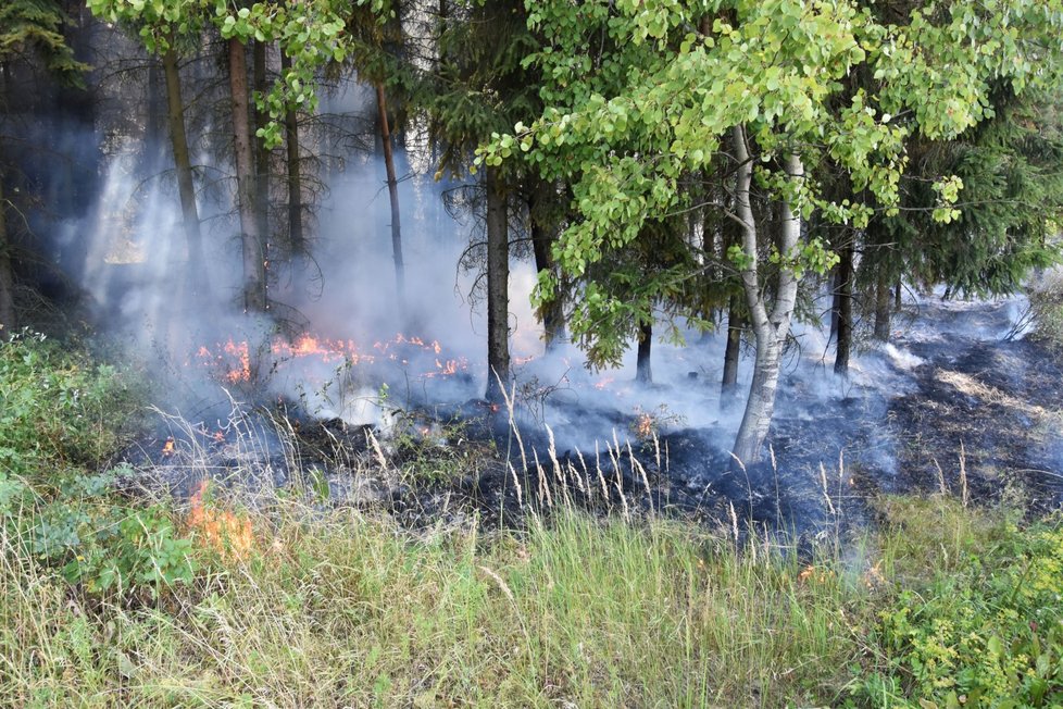 Požár lesa, který zapálily jiskry od kola kamionu, jemuž praskla pneumatika.