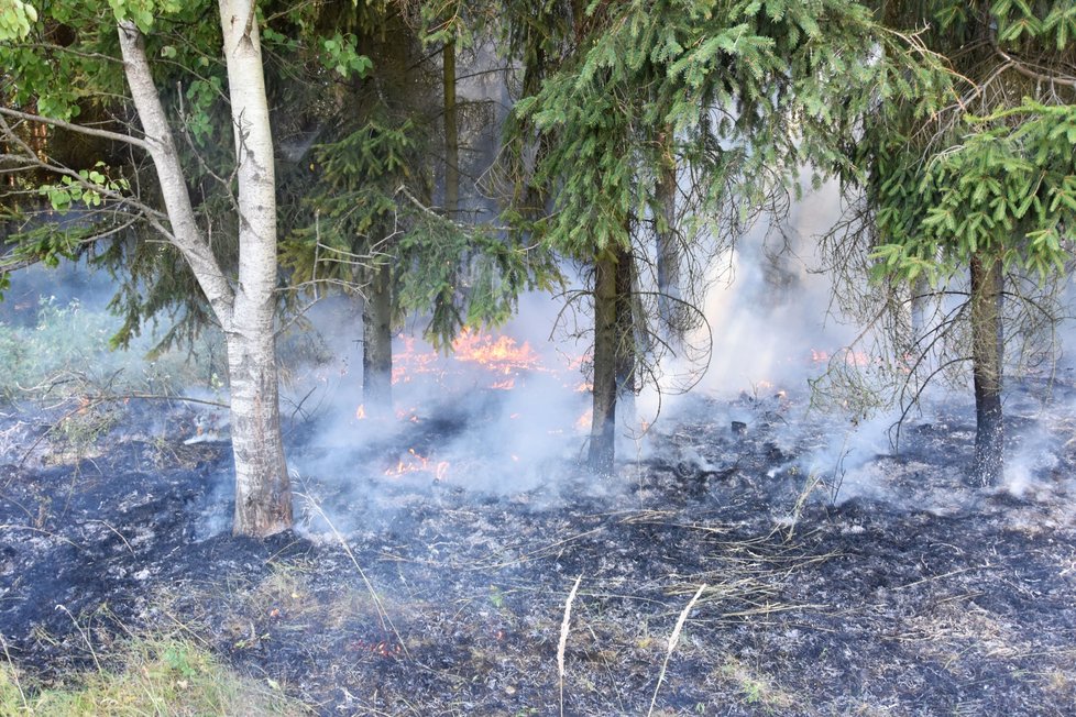 Požár lesa, který zapálily jiskry od kola kamiónu, jemuž praskla pneumatika.