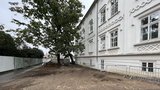 Opěrná zeď na Kampě je hotová! Praha 1 ji dokončila po více než dvou letech