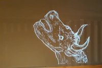 Piccaso na Kampě: V muzeu vystavují cyklus grafik o jeho vášních