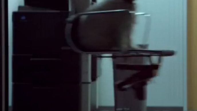 Kampaň Cesar Kampaň Cesar
