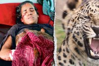Žena hodinu bojovala s levhartem: Zabila ho malým rýčem a srpem!