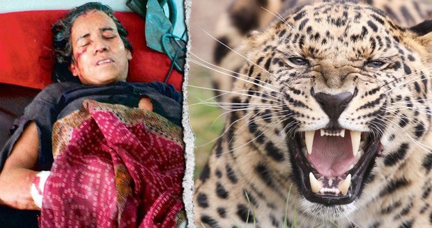 Kamla Devi přemohla divokého levharta. Zvíře dokonce zabila.