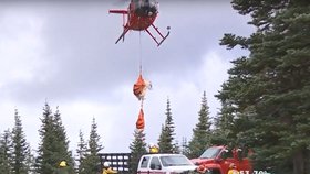Kamzíky převezli helikoptérou na jiné místo