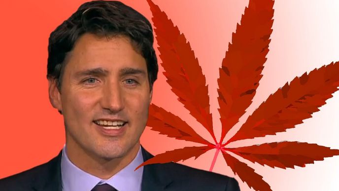 Premiér Justin Trudeau oznámil, že Kanada zlegalizuje marihuanu pro rekreační použití