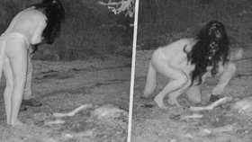 Kanaďanka našla na průmyslové kameře záběry dvou žen, které se nahé pohybovaly kolem mršiny jelena.