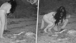 Vtip, nebo satanský rituál? Nahé ženy pojídaly mršinu jelena, natočila je bezpečnostní kamera!