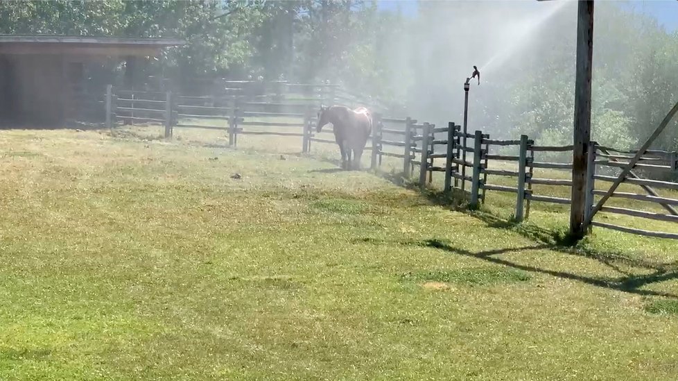 Kanada hlásí vlnu veder, padají rekordy. Lidé vykupují klimatizace, vlnou veder vznikají také požáry.